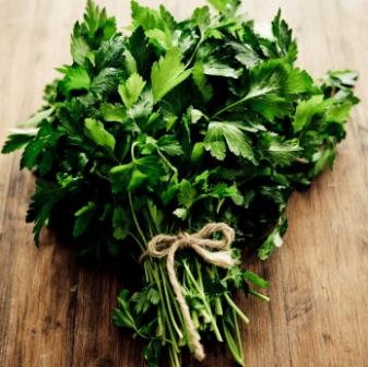 Organic Parsley, Gigante d'italia Petroselinum crispum.750 grams